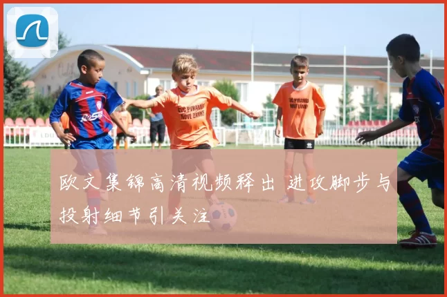 欧文集锦高清视频释出 进攻脚步与投射细节引关注