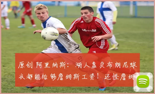 原创 阿里纳斯：湖人靠卖布朗尼球衣都能给够詹姆斯工资！还怪詹姆斯？