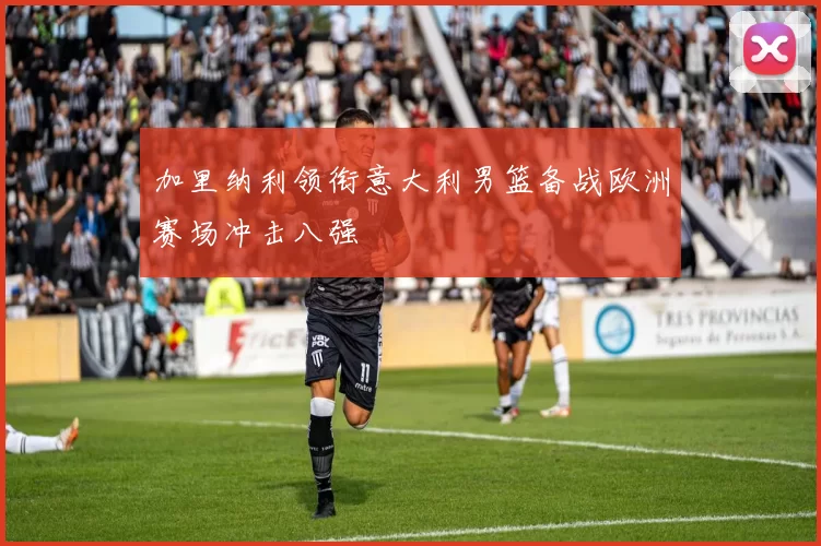 加里纳利领衔意大利男篮备战欧洲赛场冲击八强