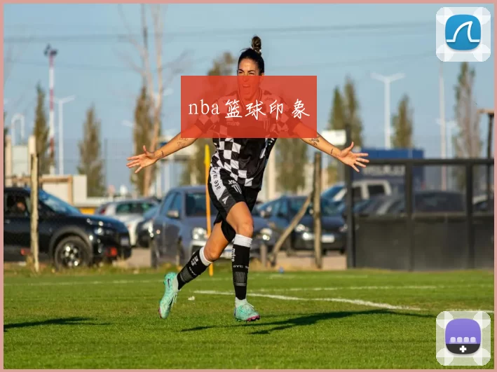 nba篮球印象