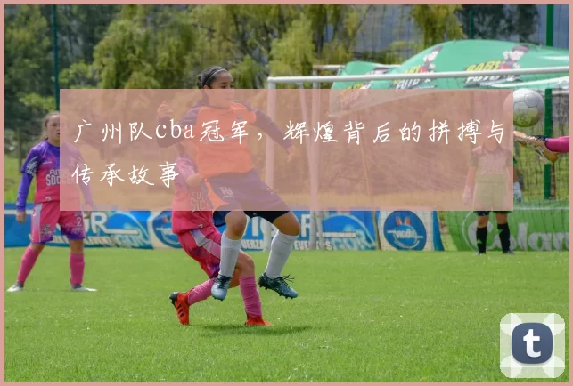 广州队cba冠军,辉煌背后的拼搏与传承故事