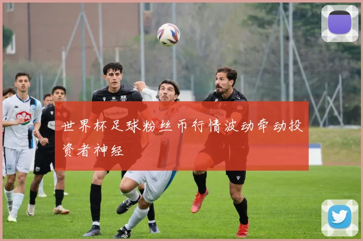世界杯足球粉丝币行情波动牵动投资者神经